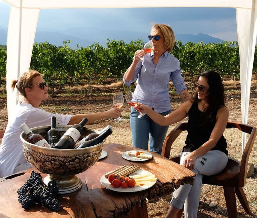 two women clink glasses for 'cheers' and another drinking wine at Argyriou Winery outside in vineyards